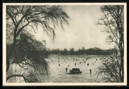 AK Bucuresti, Lacul Floreasca, Patinaj