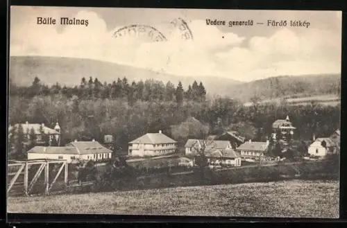 AK Baile Malnas, Vedere generala