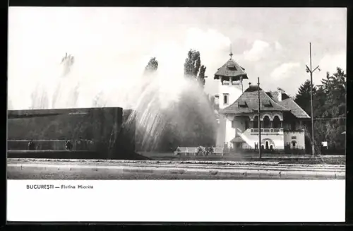AK Bucuresti, Fintina Miorita