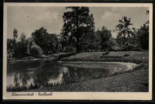AK Litzmannstadt, Quellpark