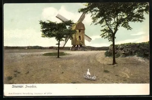 AK Skanör, Panorama