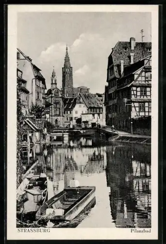 AK Strassburg, Pflanzbad