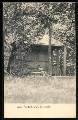 AK Sesenheim, Laube Friederikenruh