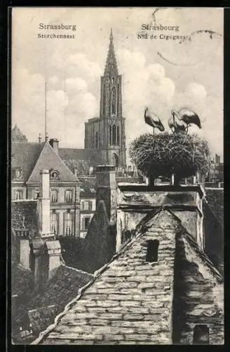 AK Strasbourg, Nid de Cicognes