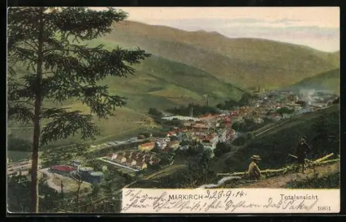 AK Markirch, Vue panoramique de la ville et des collines environnantes
