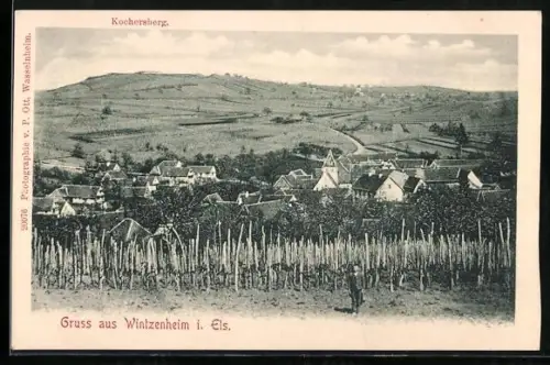 AK Wintzenheim i. Els., Ortsansicht mit Kochersberg