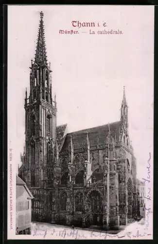 AK Thann i. E., Münster