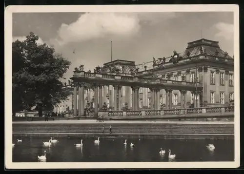 AK Potsdam, Stadtschloss, Ansicht vom Wasser mit Schwänen