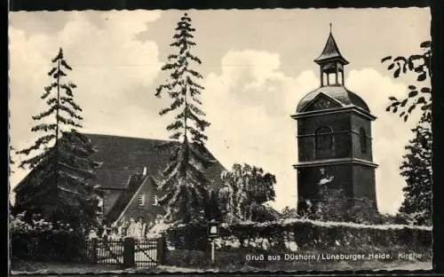 AK Düshorn /Lüneburger Heide, Kirche, Panorama