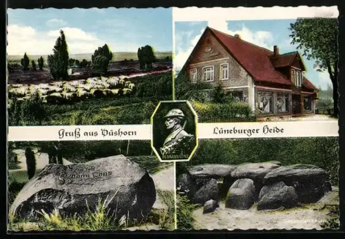 AK Düshorn /Lüneburger Heide, Hermann Löns Stein, Grosssteingrab, Heidschnuckenherde, Kaufhaus Hermann Löns
