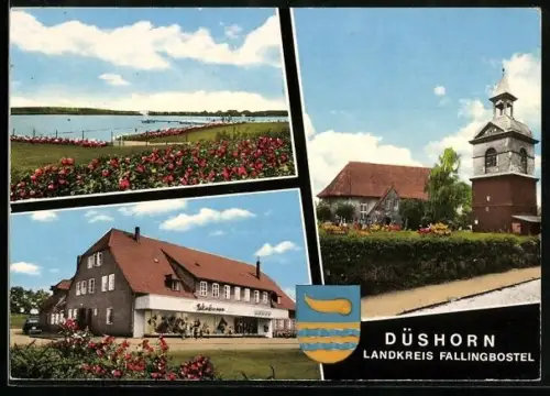 AK Düshorn /Fallingbostel, See, Kirche, Geschäft, Wappen