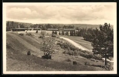 AK Lauterbach über Eisenach, Segelflugschule Harsberg mit Wald