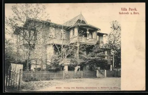 AK Suderode a. Harz, Hotel Villa Pusch mit Grünanlagen