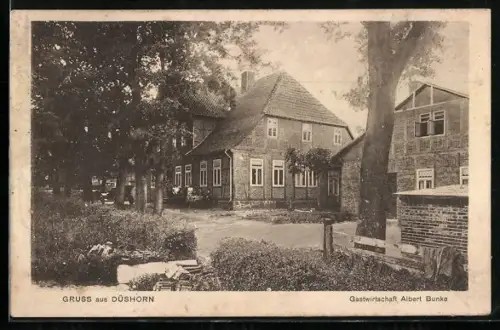 AK Düshorn, Gasthaus Albert Bunke, Panorama mit Strasse