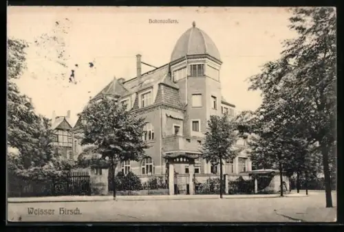 AK Dresden-Weisser Hirsch, Villa Hohenzollern, Wolfshügelstrasse