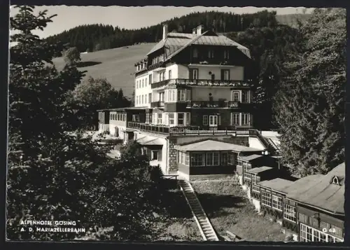 AK Gösing a. d. Mariazellerbahn, Blick zum Alpenhotel