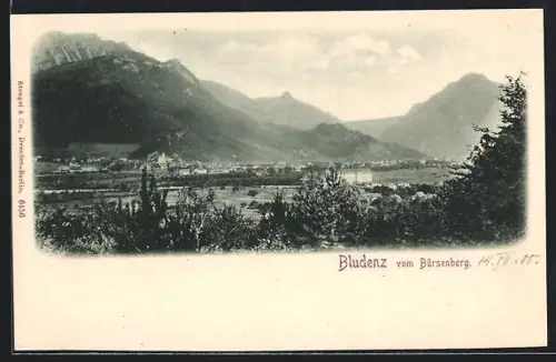 AK Bludenz vom Bürsenberg, Panorama mit Ort und Bergkulisse