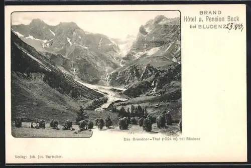 AK Brand bei Bludenz, Brandner Tal, Panorama mit Bergen