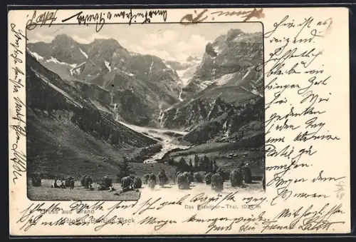 AK Brand, Tal mit Heustapeln und Gebirgspanorama