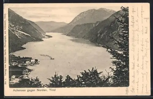 AK Achensee /Tirol, Blick gegen Norden, See mit Ufer und Bergpanorama