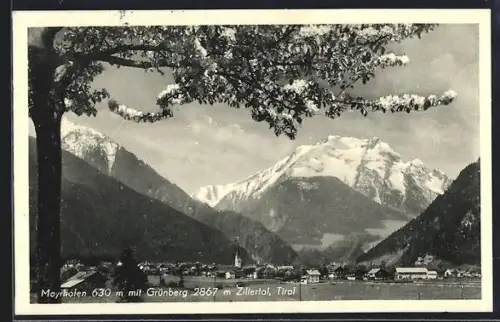 AK Mayrhofen /Zillertal, Panorama mit Grünberg