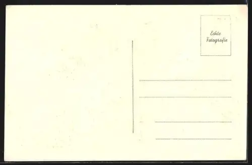 AK Wien, Rathaus mit Passanten