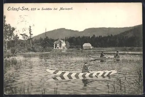 AK Erlauf-See bei Mariazell, See mit Ruderbooten, Haus und Waldrand