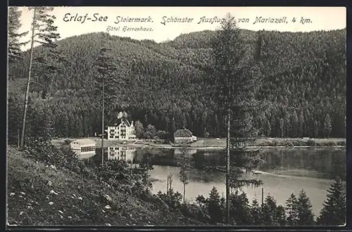AK Mitterbach am Erlaufsee, Seeufer mit Hotel Herrenhaus