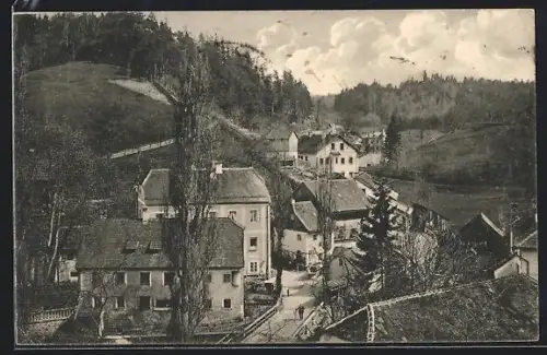 AK Haibach, Ortsansicht mit Restaurant Zur Mauth