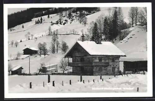 AK Saalbach-Hinterglemm, Wieshof