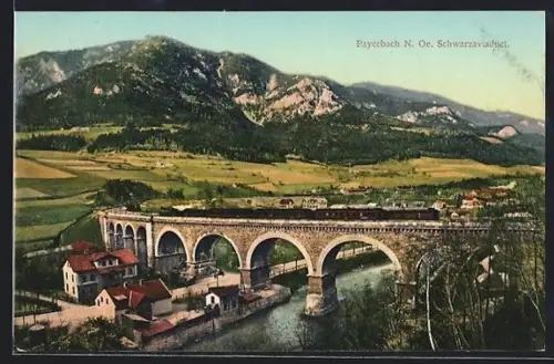 AK Payerbach /N. Oe., Schwarza-Viadukt