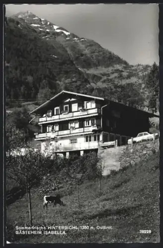 AK Hinterbichl /Osttirol, Gästeheim Isabella