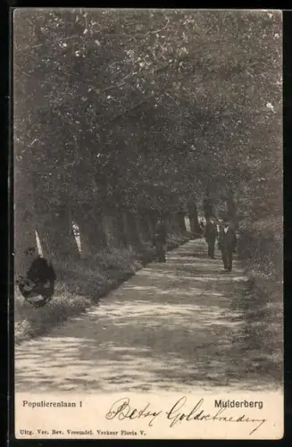 AK Muiderberg, Populierenlaan