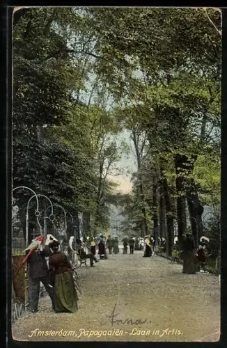 AK Amsterdam, Papgaaien-Laan in Artis