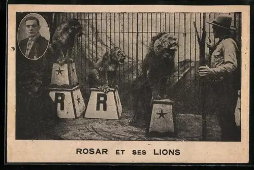 AK Rosar et ses lions
