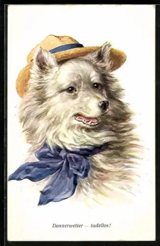 Künstler-AK Donnerwetter-tadellos!, Spitz-Dame mit Hut und Schleife, vermenschlichte Tiere