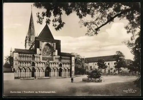 AK Trondheim, Domkirken og Erkebispegarden