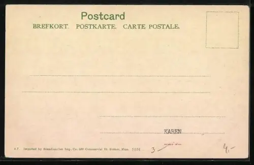 AK Odde /Hardanger, Panorama