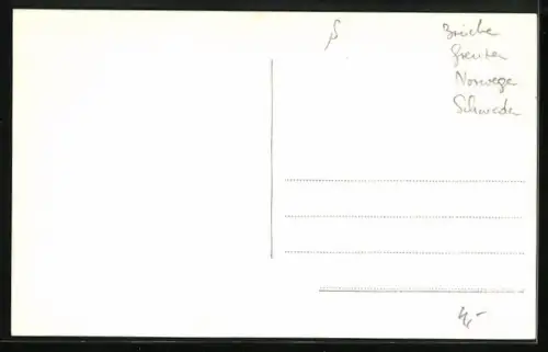 AK Svinesundsbron, Panorama