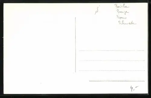 AK Svinesundsbron, Panorama