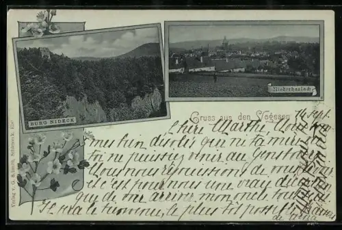 AK Niederhaslach /Vogesen, Teilansicht, Burg Nideck