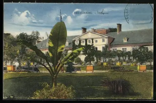 AK Strasbourg, Orangerie