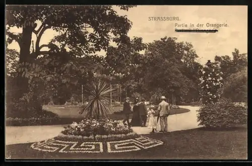 AK Strassburg, Partie in der Orangerie