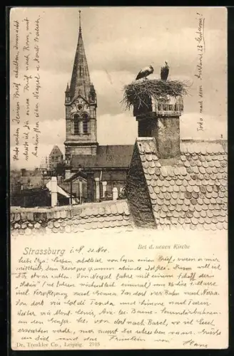 AK Strassburg i. E., Storchennest bei der neuen Kirche