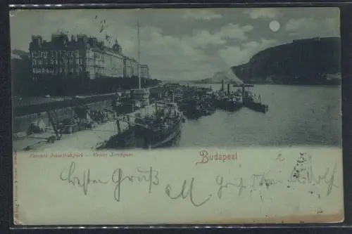Mondschein-AK Budapest, Franz Josefquai mit Anleger