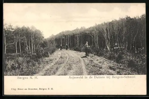 AK Bergen /N.H., Asjesveld in de Duinen bij Bergen-Schoorl