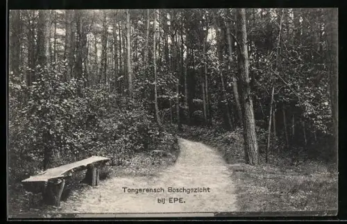 AK Epe, Tongerensch Boschgezicht