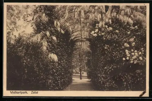 AK Zeist, Walkartpark