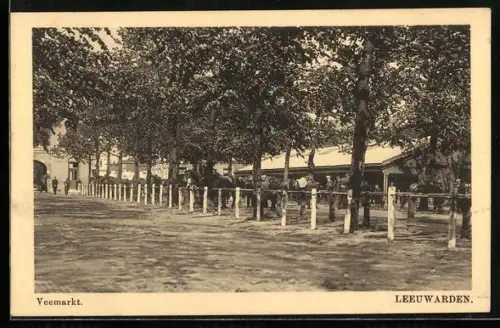 AK Leeuwarden, Veemarkt