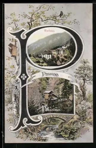 AK Passugg, Quellenhaus und Kurjaus, Buchstabe P